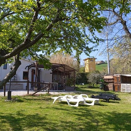 Sotto L'Ulivo Bed & Breakfast Mondavio Екстериор снимка