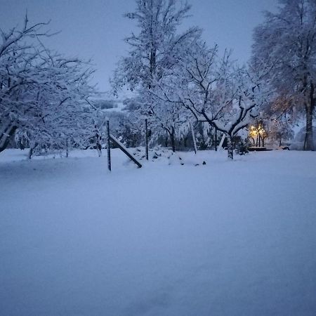 Sotto L'Ulivo Bed & Breakfast Mondavio Екстериор снимка