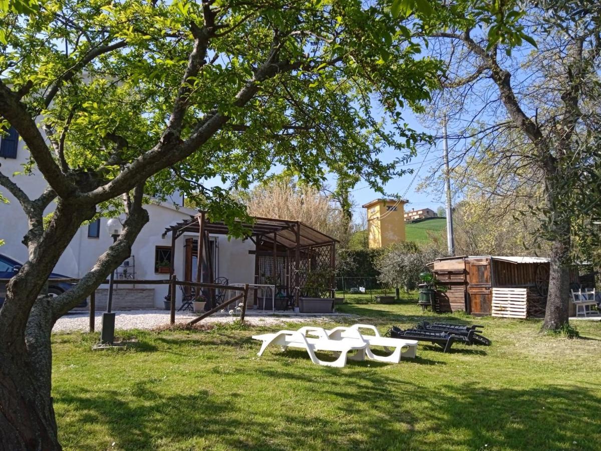 Sotto L'Ulivo Bed & Breakfast Mondavio Екстериор снимка