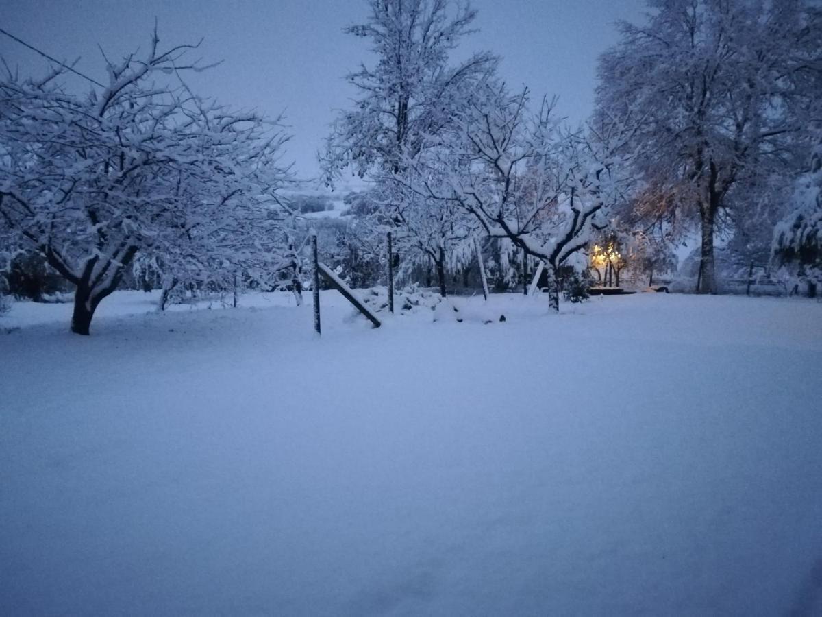 Sotto L'Ulivo Bed & Breakfast Mondavio Екстериор снимка