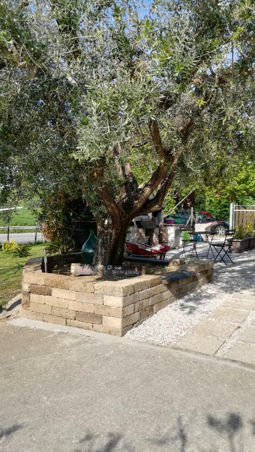 Sotto L'Ulivo Bed & Breakfast Mondavio Екстериор снимка